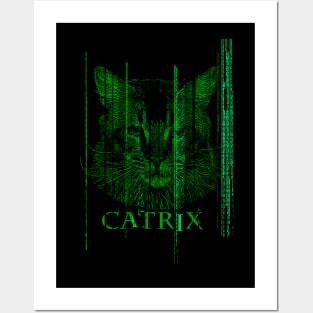 CatRiX Posters and Art